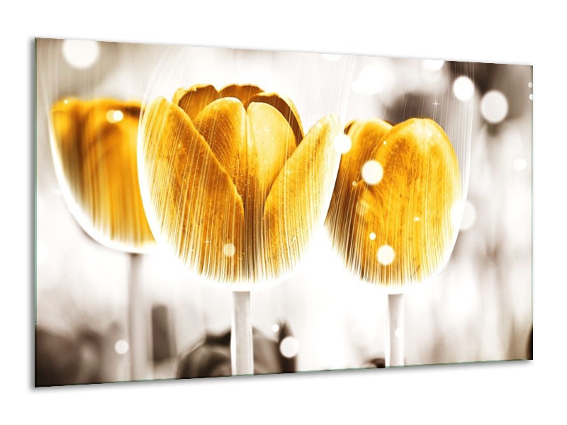 Canvas schilderij Tulp | Geel, Wit | 120x70cm 1Luik