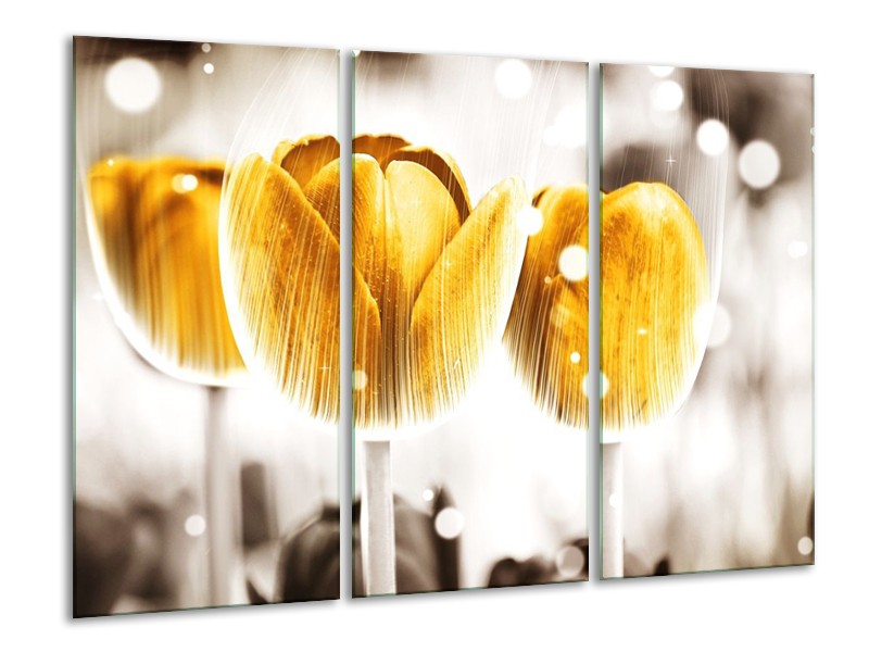 Canvas schilderij Tulp | Geel, Wit | 120x80cm 3Luik