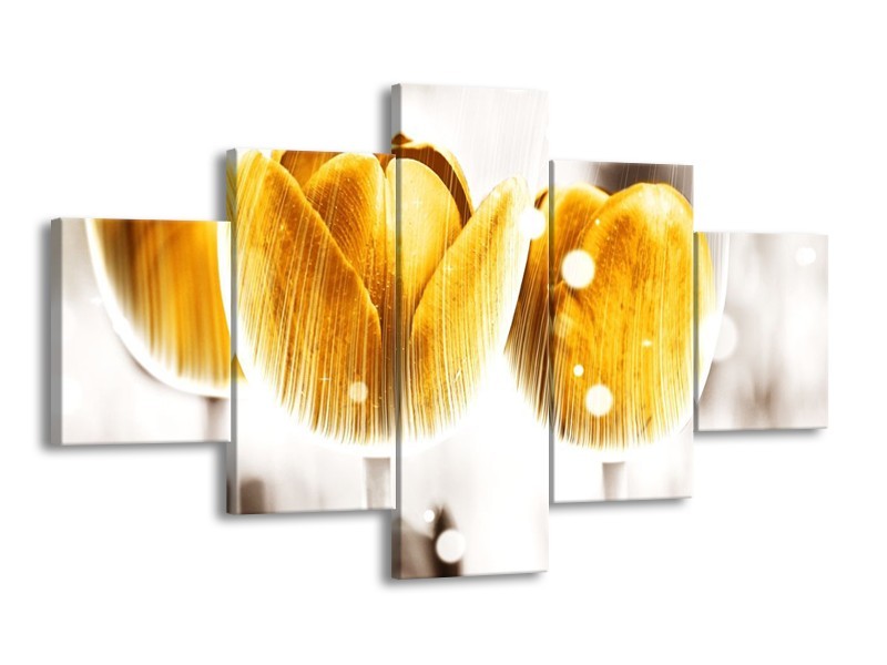 Canvas schilderij Tulp | Geel, Wit | 125x70cm 5Luik