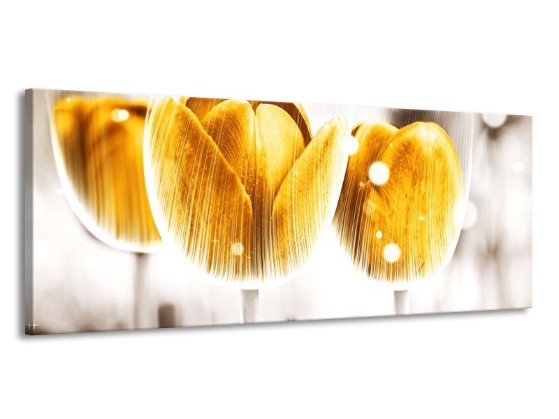 Canvas schilderij Tulp | Geel, Wit | 145x58cm 1Luik