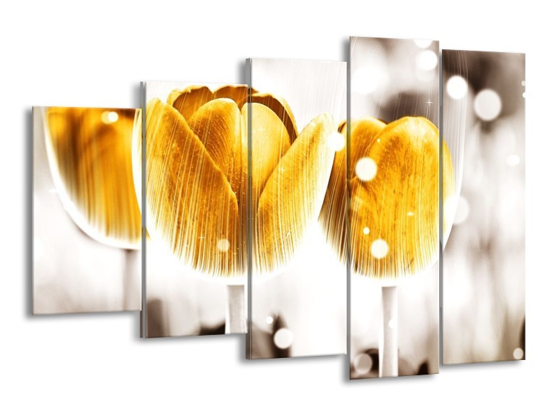 Canvas schilderij Tulp | Geel, Wit | 150x100cm 5Luik