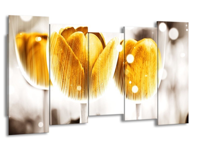 Canvas schilderij Tulp | Geel, Wit | 150x80cm 5Luik