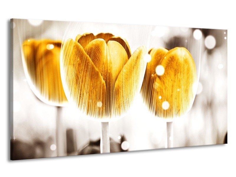 Canvas schilderij Tulp | Geel, Wit | 190x100cm 1Luik