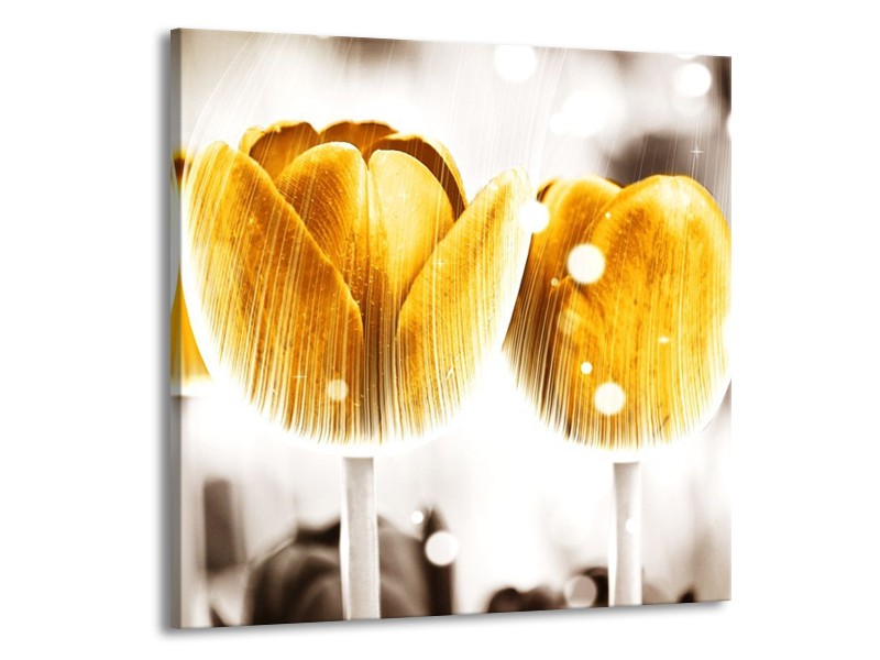 Canvas schilderij Tulp | Geel, Wit | 50x50cm 1Luik