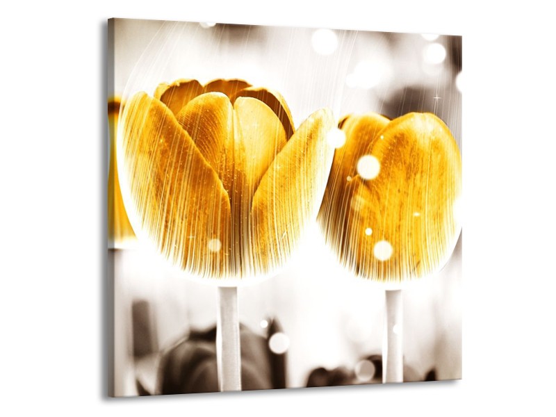 Canvas schilderij Tulp | Geel, Wit | 70x70cm 1Luik