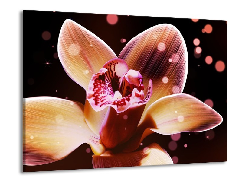 Canvas schilderij Tulp | Geel, Zwart | 100x70cm 1Luik