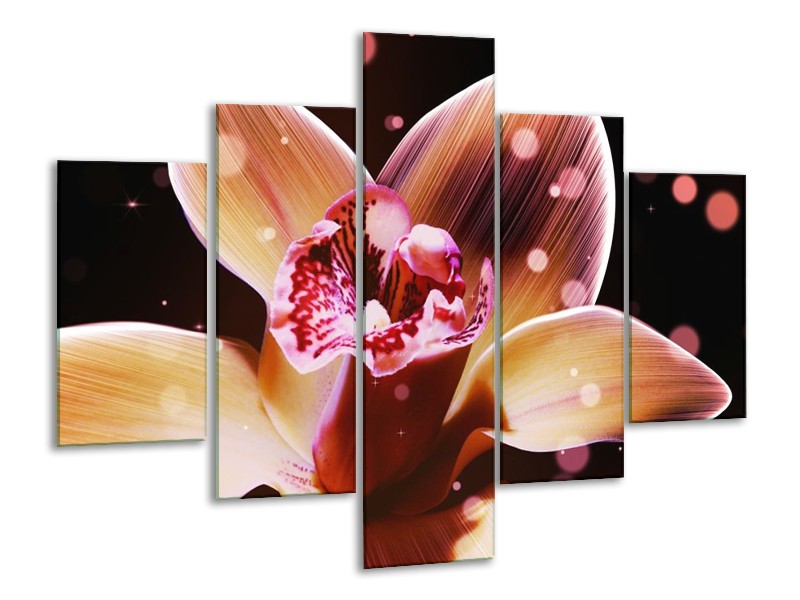 Canvas schilderij Tulp | Geel, Zwart | 100x70cm 5Luik