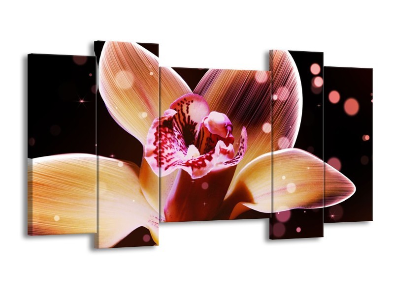 Canvas schilderij Tulp | Geel, Zwart | 120x65 5Luik