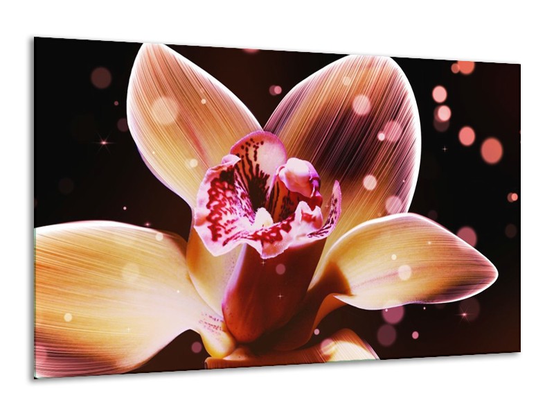Canvas schilderij Tulp | Geel, Zwart | 120x70cm 1Luik