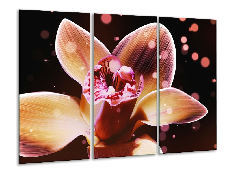 Canvas schilderij Tulp | Geel, Zwart | 120x80cm 3Luik