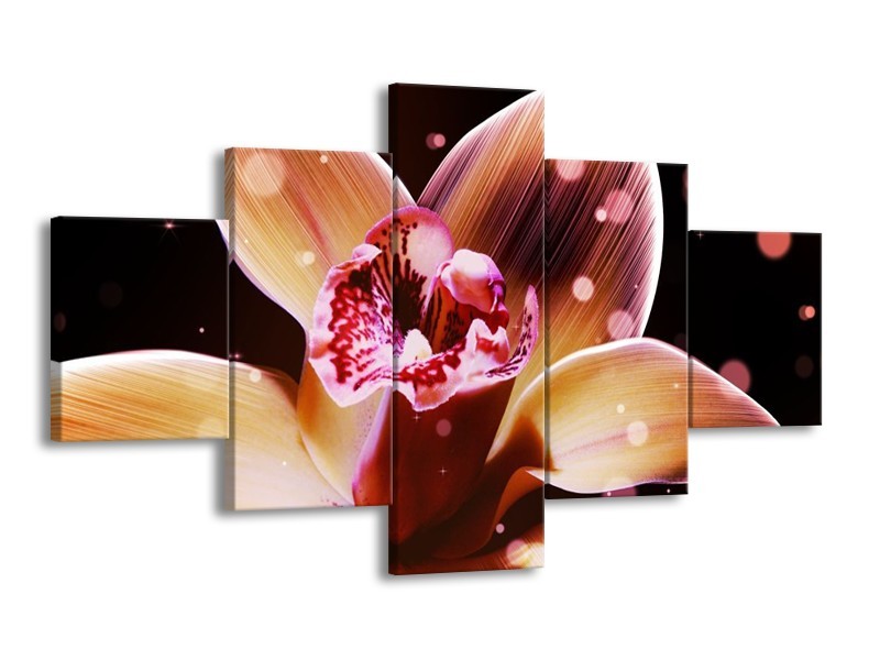 Canvas schilderij Tulp | Geel, Zwart | 125x70cm 5Luik