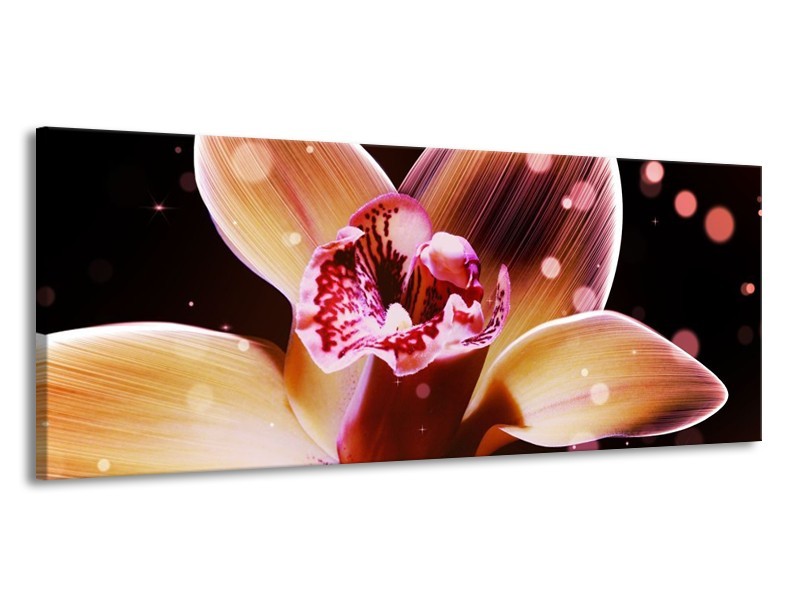 Canvas schilderij Tulp | Geel, Zwart | 145x58cm 1Luik