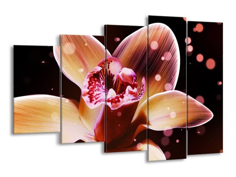 Canvas schilderij Tulp | Geel, Zwart | 150x100cm 5Luik