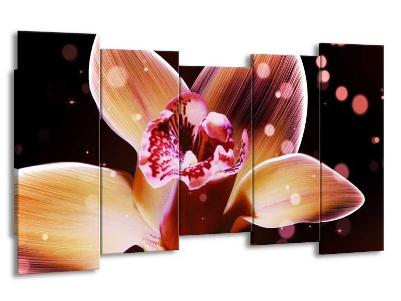 Canvas schilderij Tulp | Geel, Zwart | 150x80cm 5Luik