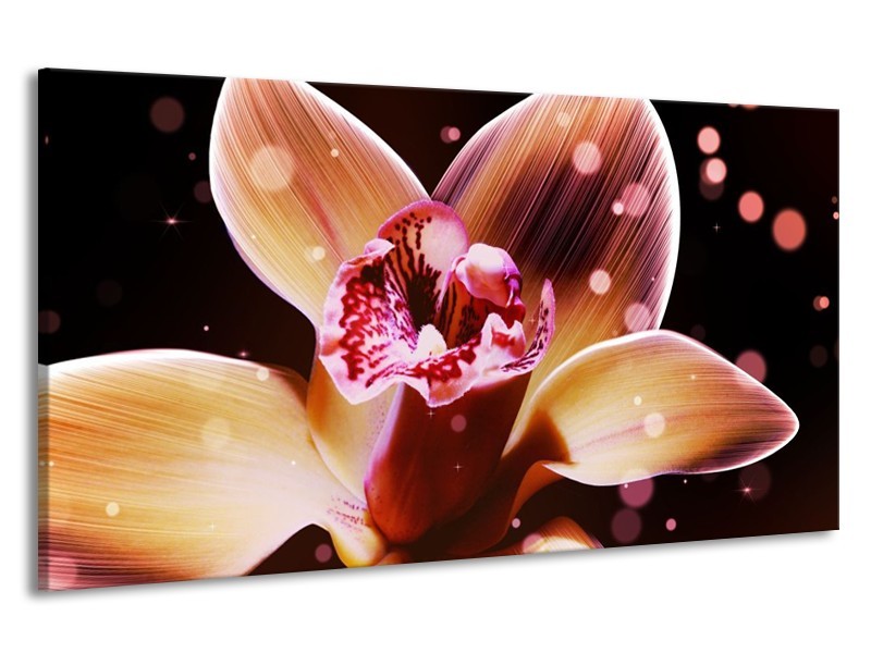 Canvas schilderij Tulp | Geel, Zwart | 190x100cm 1Luik