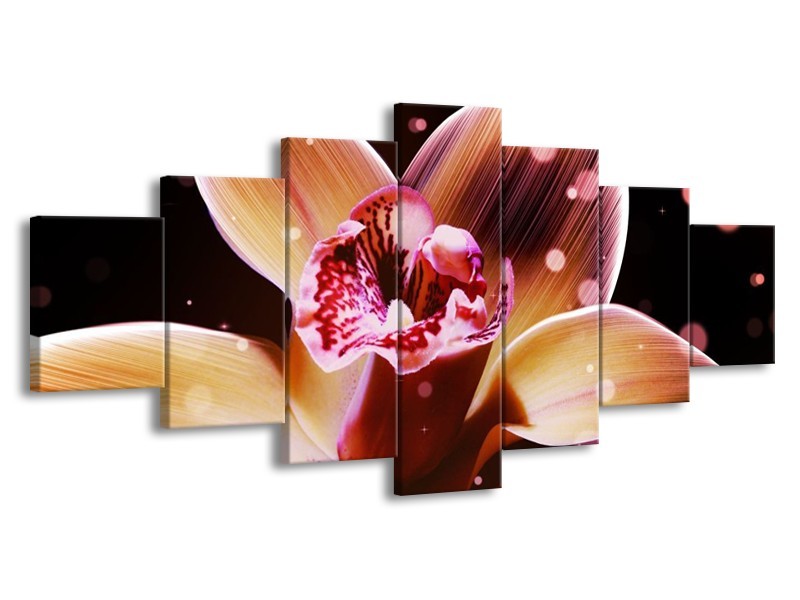 Canvas schilderij Tulp | Geel, Zwart | 210x100cm 7Luik