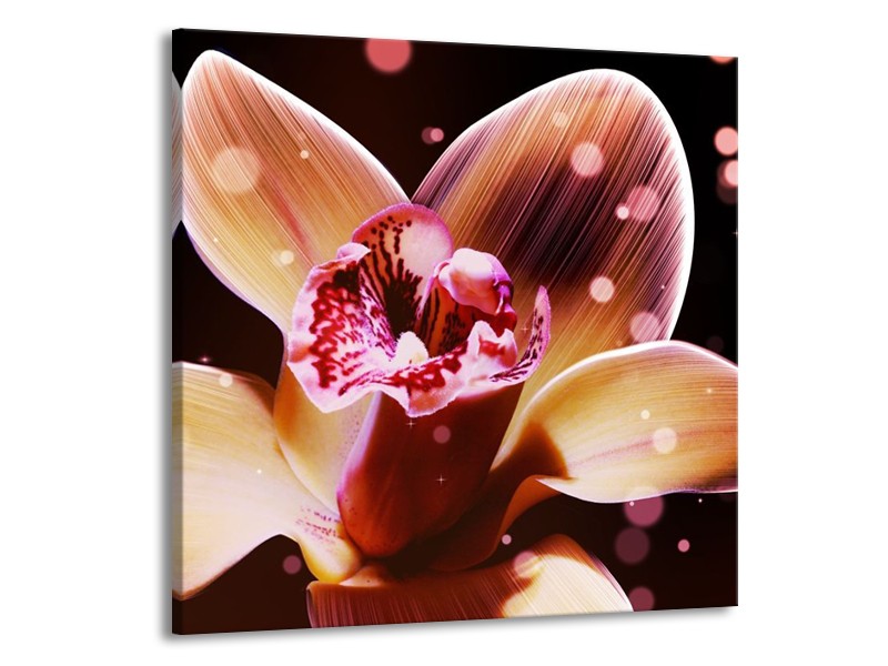 Canvas schilderij Tulp | Geel, Zwart | 50x50cm 1Luik
