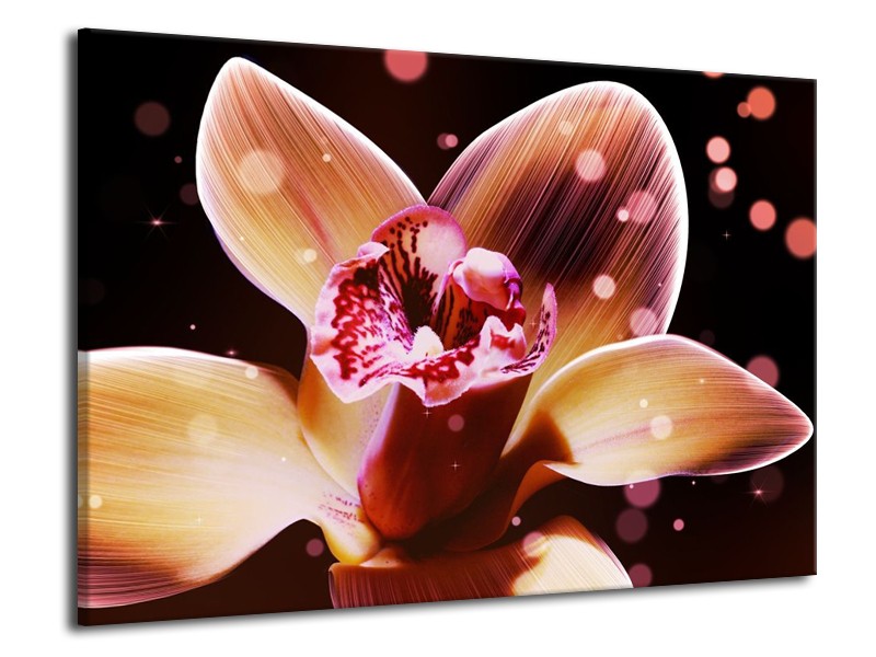 Canvas schilderij Tulp | Geel, Zwart | 70x50cm 1Luik