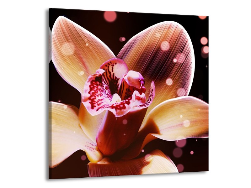 Canvas schilderij Tulp | Geel, Zwart | 70x70cm 1Luik