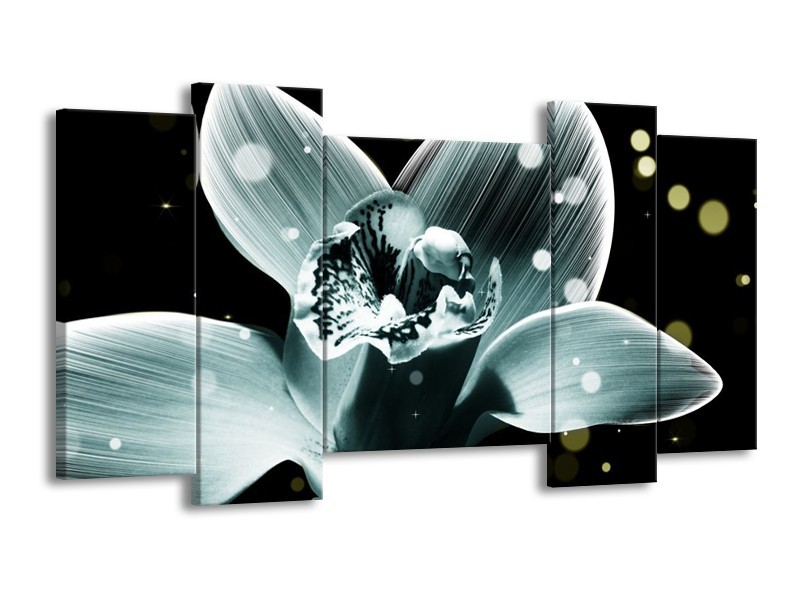 Canvas schilderij Iris | Blauw, Zwart | 120x65 5Luik