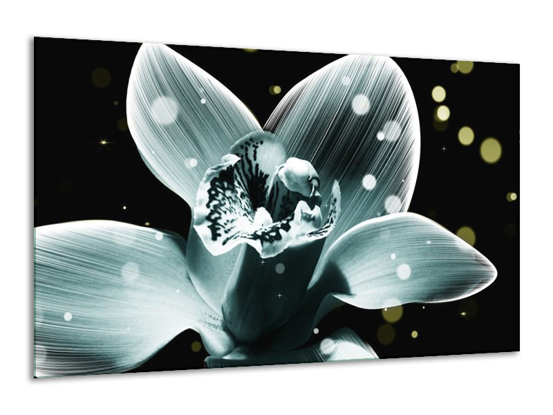 Canvas schilderij Iris | Blauw, Zwart | 120x70cm 1Luik