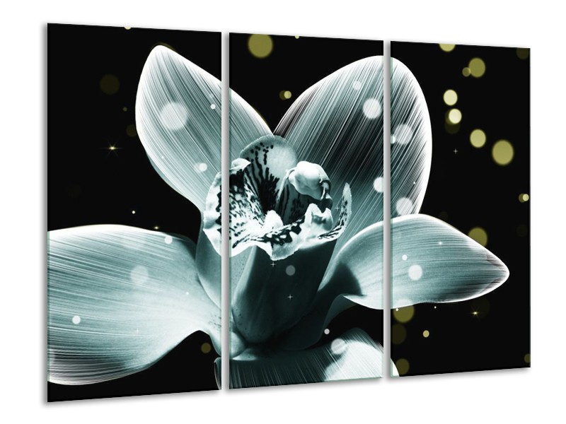 Canvas schilderij Iris | Blauw, Zwart | 120x80cm 3Luik