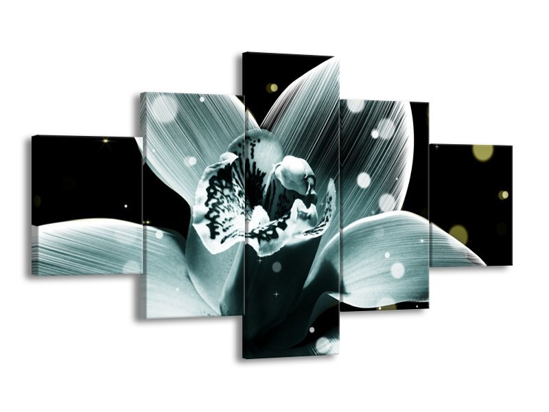 Canvas schilderij Iris | Blauw, Zwart | 125x70cm 5Luik