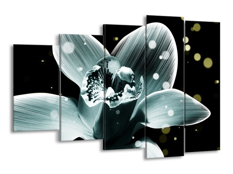 Canvas schilderij Iris | Blauw, Zwart | 150x100cm 5Luik