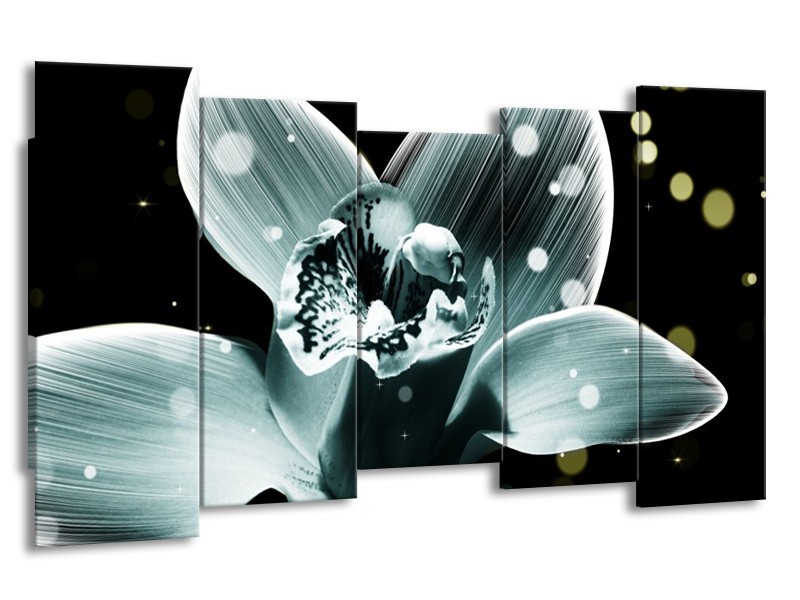 Canvas schilderij Iris | Blauw, Zwart | 150x80cm 5Luik