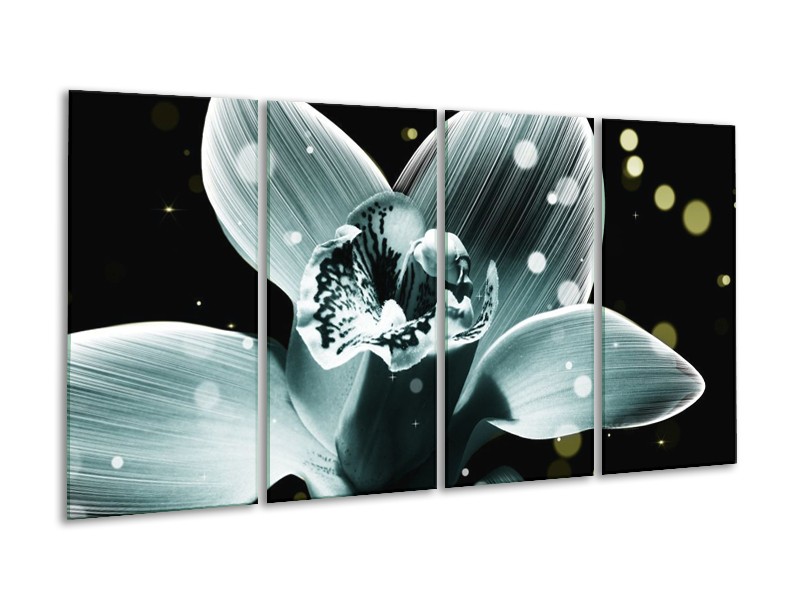 Canvas schilderij Iris | Blauw, Zwart | 160x80cm 4Luik