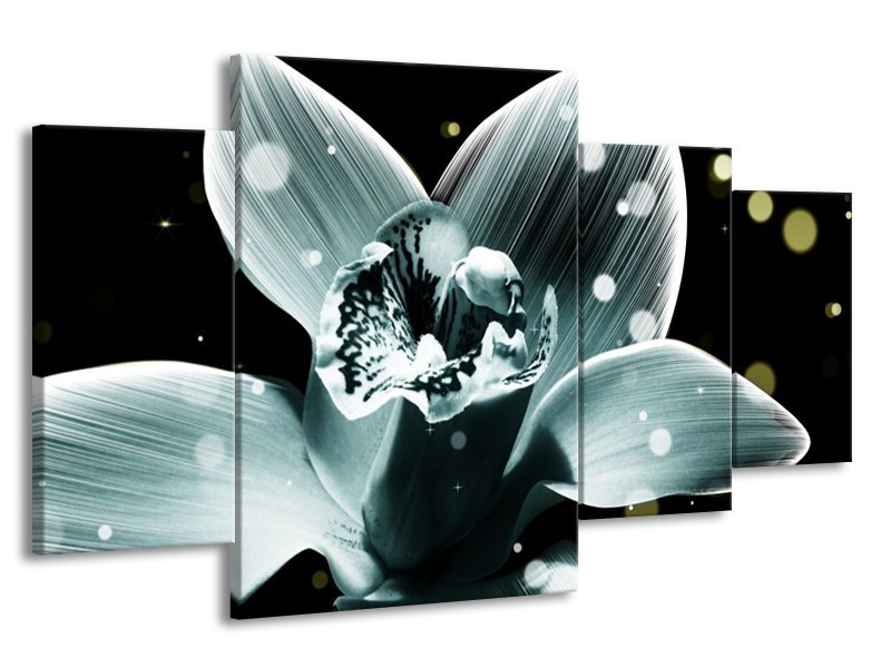 Canvas schilderij Iris | Blauw, Zwart | 160x90cm 4Luik