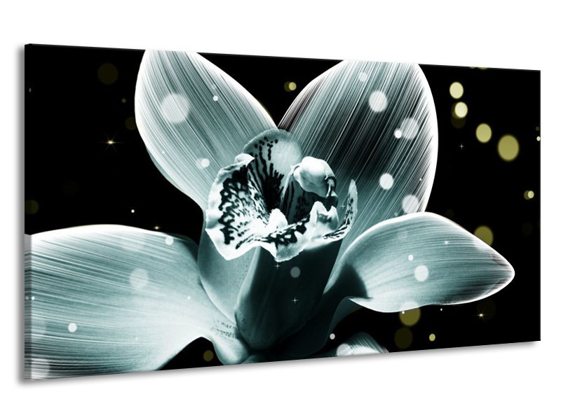 Canvas schilderij Iris | Blauw, Zwart | 190x100cm 1Luik