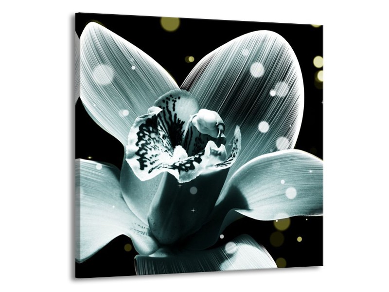 Canvas schilderij Iris | Blauw, Zwart | 50x50cm 1Luik