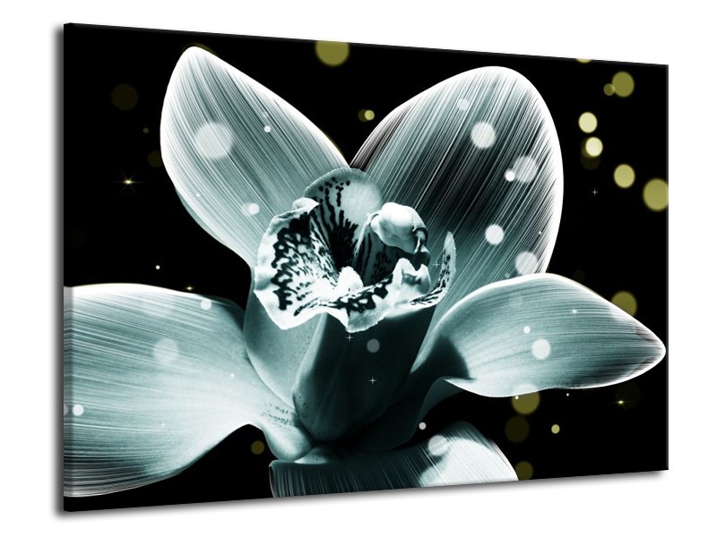 Canvas schilderij Iris | Blauw, Zwart | 70x50cm 1Luik