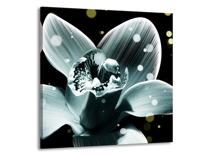 Canvas schilderij Iris | Blauw, Zwart | 70x70cm 1Luik