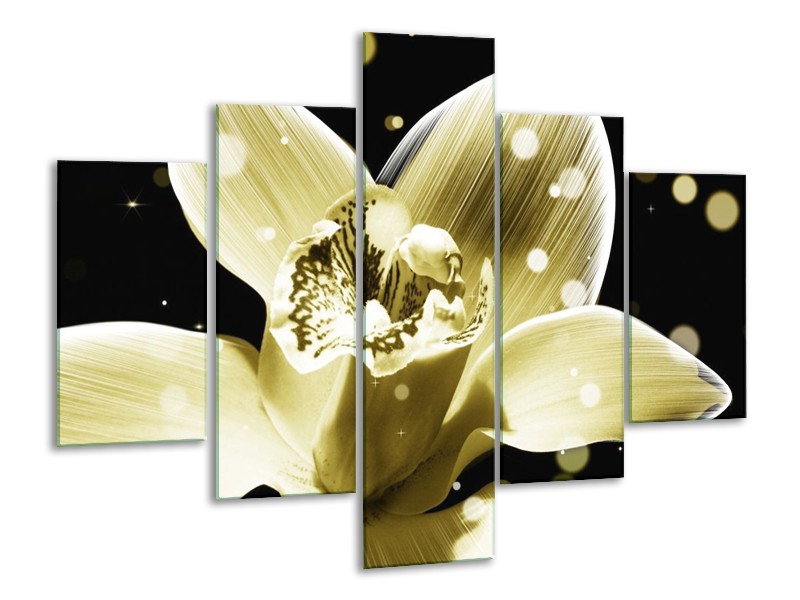 Canvas schilderij Iris | Geel, Zwart | 100x70cm 5Luik