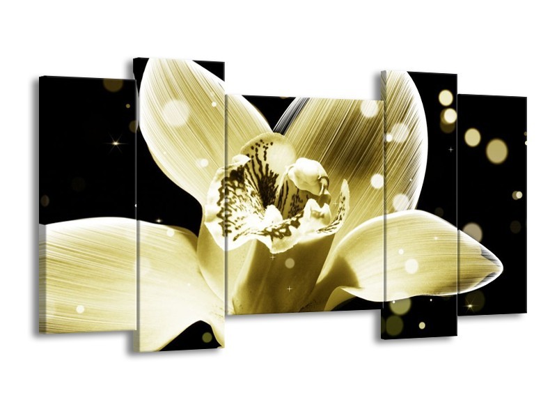 Canvas schilderij Iris | Geel, Zwart | 120x65 5Luik