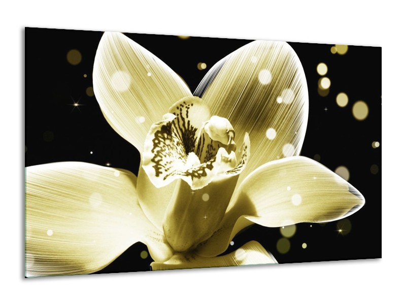 Canvas schilderij Iris | Geel, Zwart | 120x70cm 1Luik