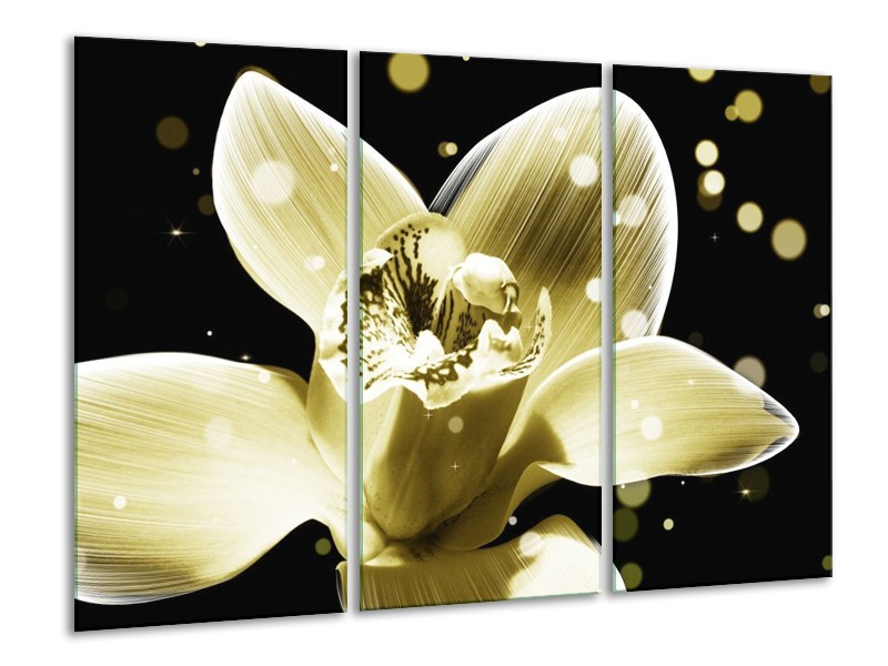 Canvas schilderij Iris | Geel, Zwart | 120x80cm 3Luik