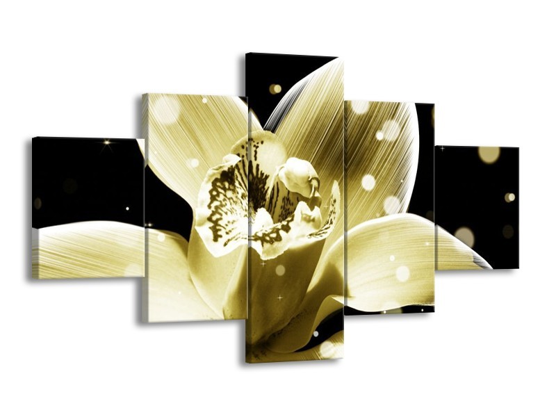 Canvas schilderij Iris | Geel, Zwart | 125x70cm 5Luik