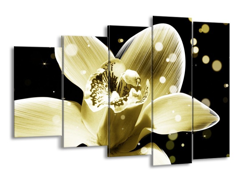 Canvas schilderij Iris | Geel, Zwart | 150x100cm 5Luik