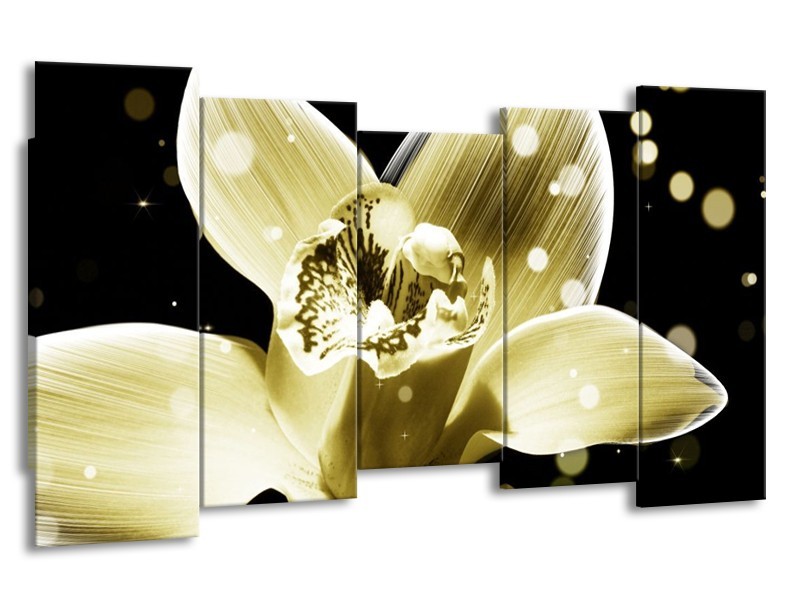 Canvas schilderij Iris | Geel, Zwart | 150x80cm 5Luik