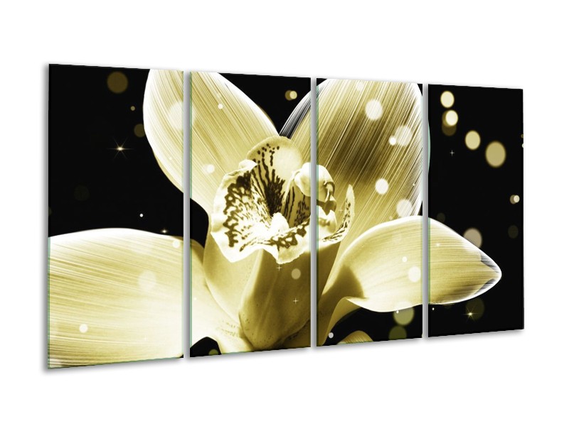 Canvas schilderij Iris | Geel, Zwart | 160x80cm 4Luik