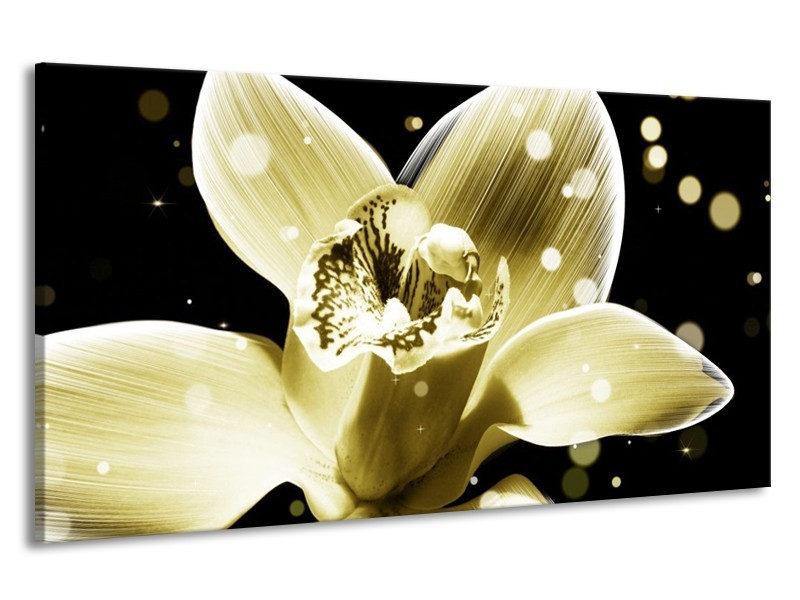Canvas schilderij Iris | Geel, Zwart | 190x100cm 1Luik