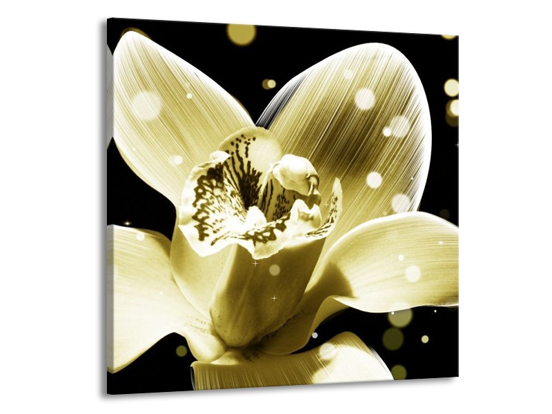 Canvas schilderij Iris | Geel, Zwart | 50x50cm 1Luik
