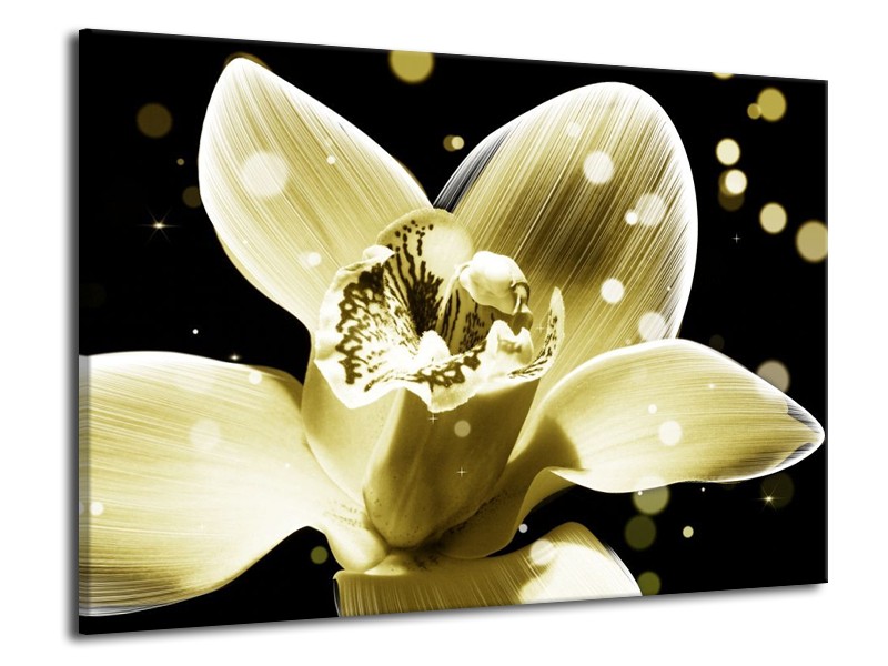 Canvas schilderij Iris | Geel, Zwart | 70x50cm 1Luik