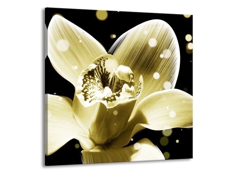 Canvas schilderij Iris | Geel, Zwart | 70x70cm 1Luik