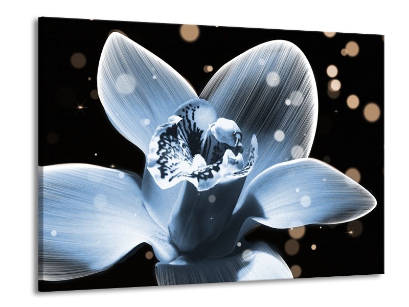 Canvas schilderij Iris | Blauw, Zwart | 100x70cm 1Luik