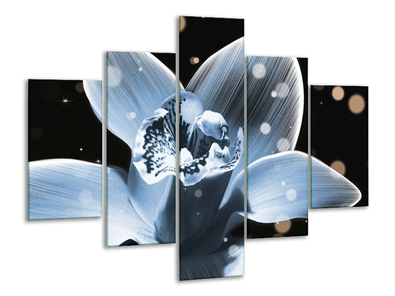 Canvas schilderij Iris | Blauw, Zwart | 100x70cm 5Luik