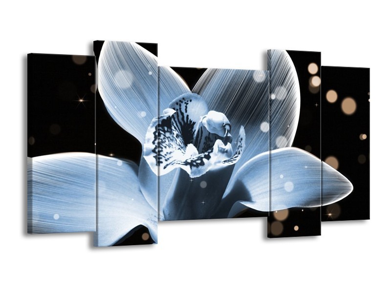Canvas schilderij Iris | Blauw, Zwart | 120x65 5Luik